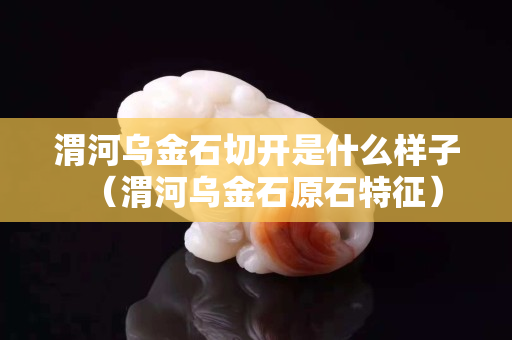 渭河烏金石切開是什么樣子（渭河烏金石原石特征）