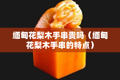 緬甸花梨木手串貴嗎（緬甸花梨木手串的特點）