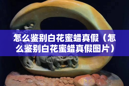 怎么鑒別白花蜜蠟真假（怎么鑒別白花蜜蠟真假圖片）
