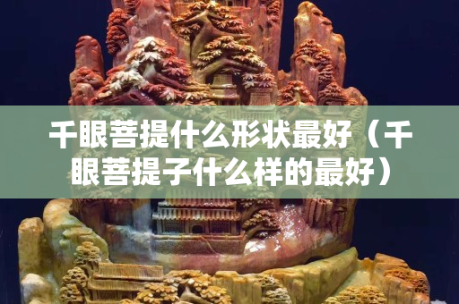 千眼菩提什么形狀最好（千眼菩提子什么樣的最好）