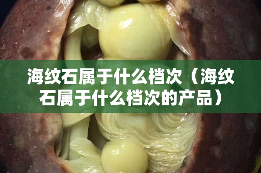 海紋石屬于什么檔次（海紋石屬于什么檔次的產(chǎn)品）