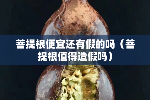 菩提根便宜還有假的嗎（菩提根值得造假嗎）