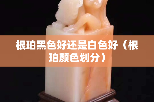 根珀黑色好還是白色好（根珀顏色劃分）