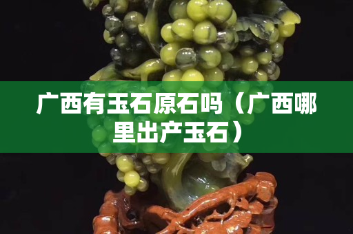 廣西有玉石原石嗎（廣西哪里出產玉石）