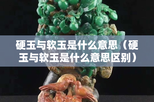 硬玉與軟玉是什么意思（硬玉與軟玉是什么意思區別）