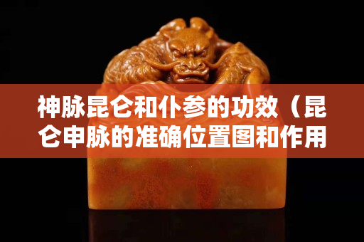 神脈昆侖和仆參的功效（昆侖申脈的準確位置圖和作用）