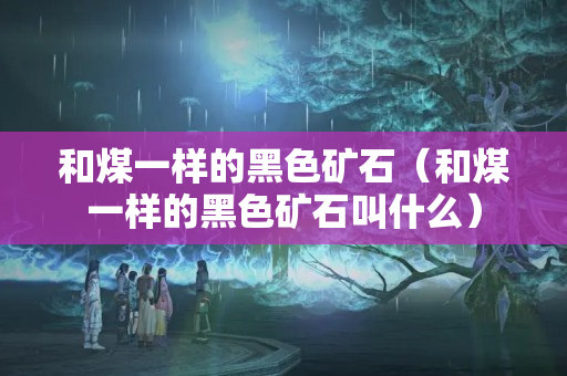 和煤一樣的黑色礦石（和煤一樣的黑色礦石叫什么）