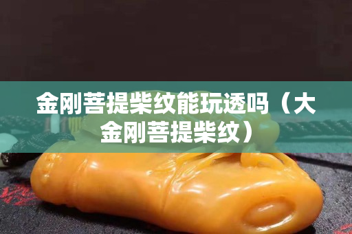 金剛菩提柴紋能玩透嗎（大金剛菩提柴紋）