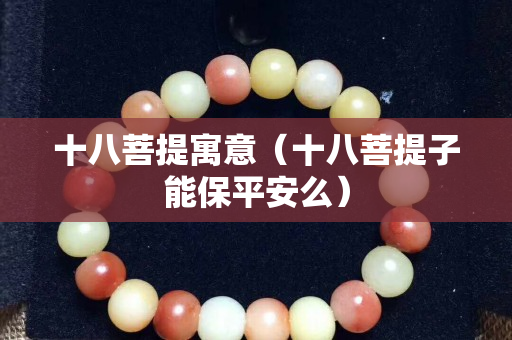 十八菩提寓意（十八菩提子能保平安么）
