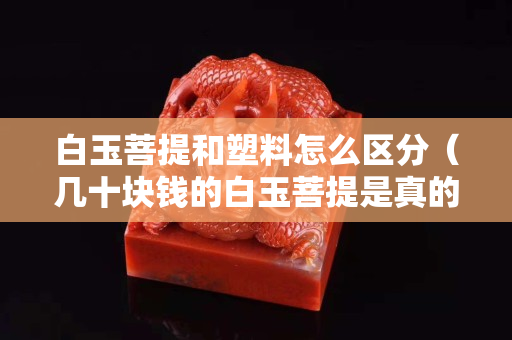 白玉菩提和塑料怎么區分（幾十塊錢的白玉菩提是真的嗎）