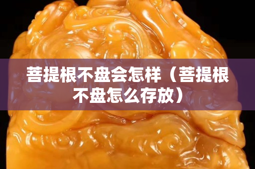 菩提根不盤會怎樣（菩提根不盤怎么存放）