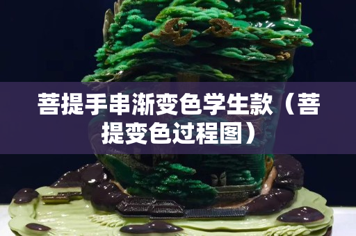 菩提手串漸變色學生款（菩提變色過程圖）