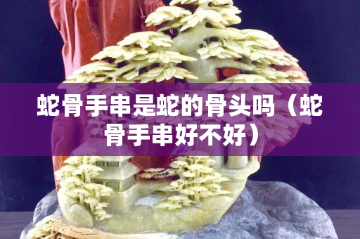 蛇骨手串是蛇的骨頭嗎（蛇骨手串好不好）