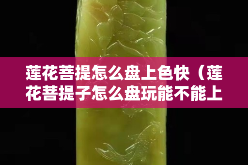 蓮花菩提怎么盤(pán)上色快（蓮花菩提子怎么盤(pán)玩能不能上油）
