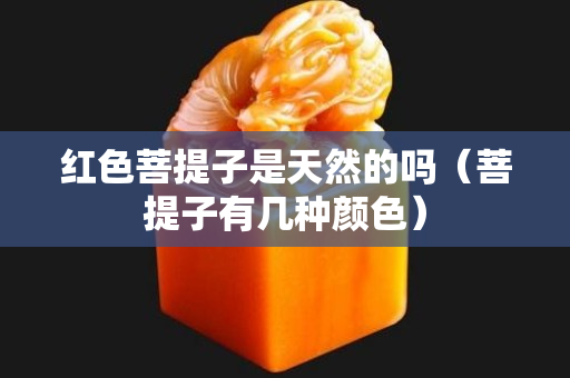 紅色菩提子是天然的嗎（菩提子有幾種顏色）
