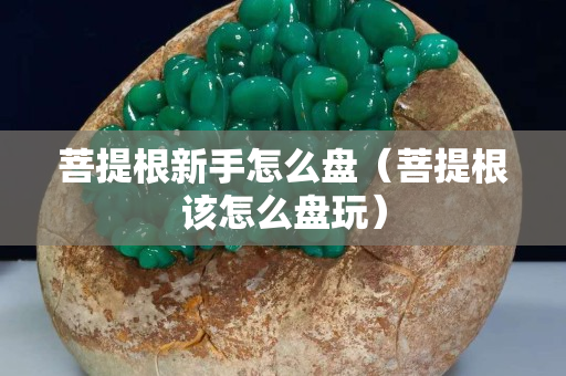菩提根新手怎么盤（菩提根該怎么盤玩）