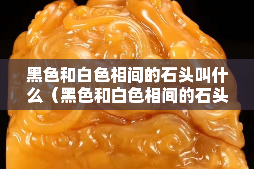 黑色和白色相間的石頭叫什么（黑色和白色相間的石頭叫什么名字）