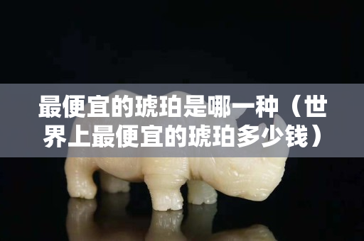 最便宜的琥珀是哪一種（世界上最便宜的琥珀多少錢）