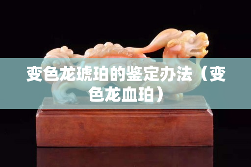 變色龍琥珀的鑒定辦法（變色龍血珀）
