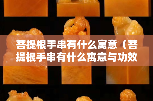 菩提根手串有什么寓意（菩提根手串有什么寓意與功效）