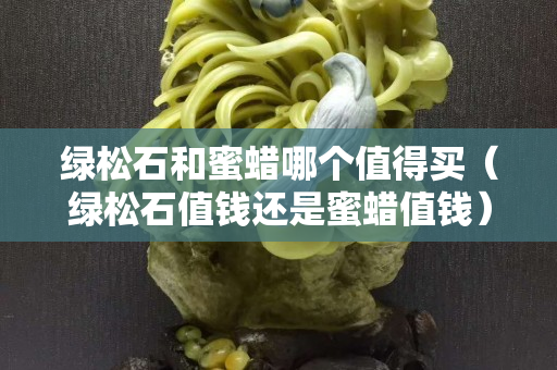 綠松石和蜜蠟?zāi)膫€(gè)值得買（綠松石值錢還是蜜蠟值錢）