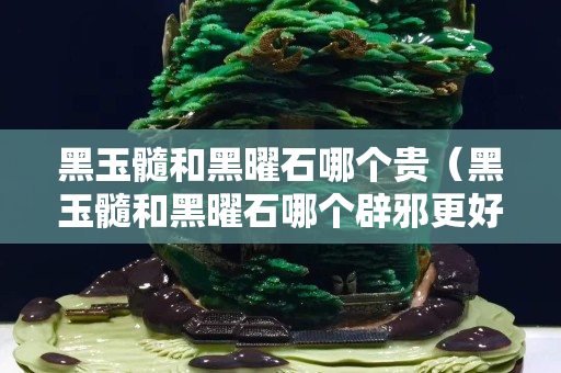 黑玉髓和黑曜石哪個貴（黑玉髓和黑曜石哪個辟邪更好）