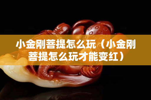 小金剛菩提怎么玩（小金剛菩提怎么玩才能變紅）