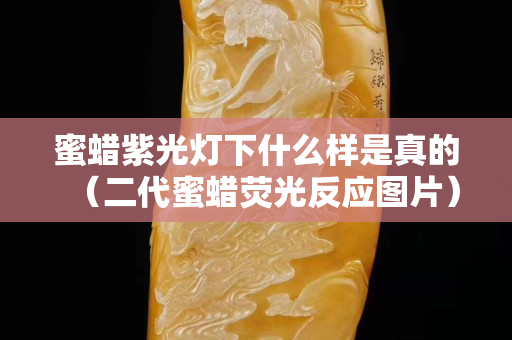蜜蠟紫光燈下什么樣是真的（二代蜜蠟熒光反應(yīng)圖片）
