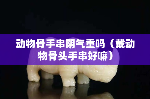 動物骨手串陰氣重嗎（戴動物骨頭手串好嘛）