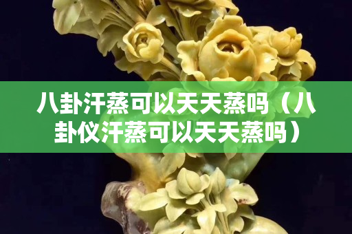 八卦汗蒸可以天天蒸嗎（八卦儀汗蒸可以天天蒸嗎）