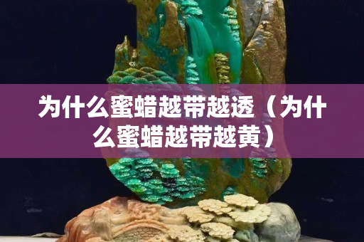 為什么蜜蠟越帶越透（為什么蜜蠟越帶越黃）