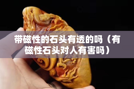 帶磁性的石頭有透的嗎（有磁性石頭對人有害嗎）