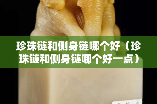 珍珠鏈和側身鏈哪個好（珍珠鏈和側身鏈哪個好一點）