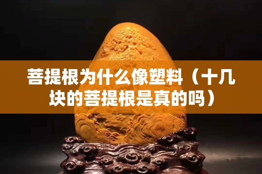 菩提根為什么像塑料（十幾塊的菩提根是真的嗎）
