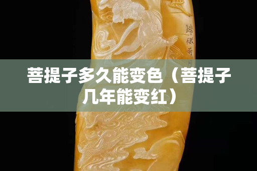 菩提子多久能變色（菩提子幾年能變紅）