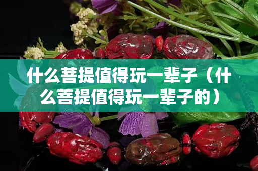 什么菩提值得玩一輩子（什么菩提值得玩一輩子的）