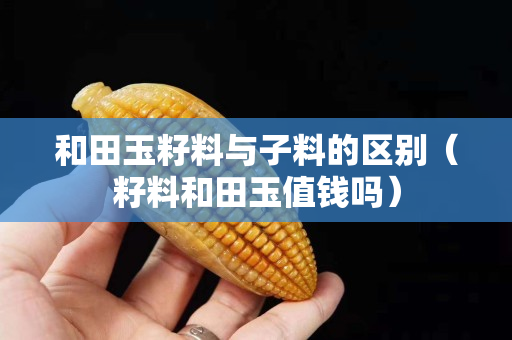 和田玉籽料與子料的區(qū)別（籽料和田玉值錢嗎）