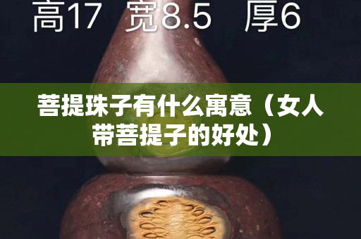 菩提珠子有什么寓意（女人帶菩提子的好處）