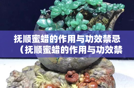 撫順蜜蠟的作用與功效禁忌（撫順蜜蠟的作用與功效禁忌）