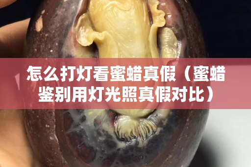 怎么打燈看蜜蠟真假（蜜蠟鑒別用燈光照真假對(duì)比）