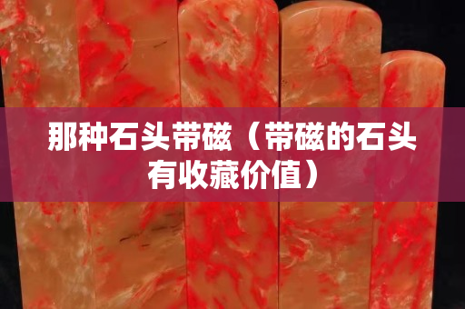那種石頭帶磁（帶磁的石頭有收藏價值）