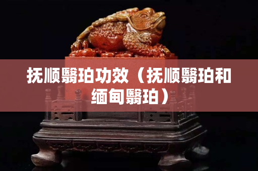 撫順翳珀功效（撫順翳珀和緬甸翳珀）