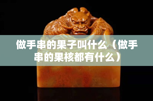 做手串的果子叫什么（做手串的果核都有什么）