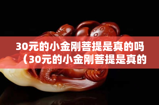 30元的小金剛菩提是真的嗎（30元的小金剛菩提是真的嗎嗎）