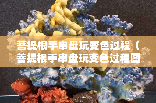 菩提根手串盤玩變色過程（菩提根手串盤玩變色過程圖）