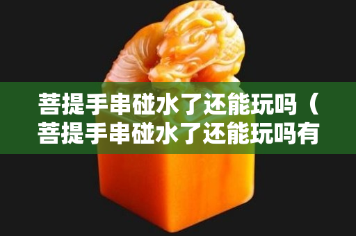 菩提手串碰水了還能玩嗎（菩提手串碰水了還能玩嗎有毒嗎）