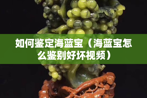如何鑒定海藍寶（海藍寶怎么鑒別好壞視頻）