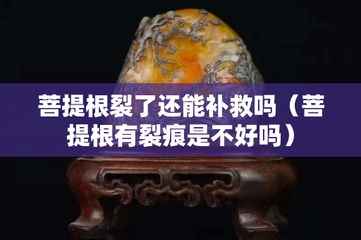 菩提根裂了還能補救嗎（菩提根有裂痕是不好嗎）