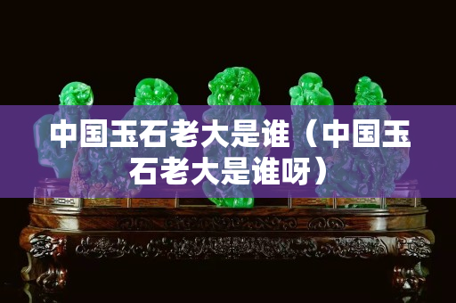 中國玉石老大是誰（中國玉石老大是誰呀）