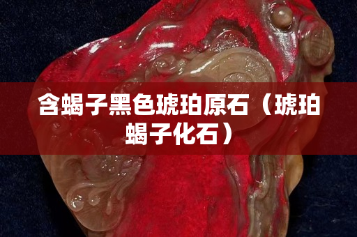 含蝎子黑色琥珀原石（琥珀蝎子化石）